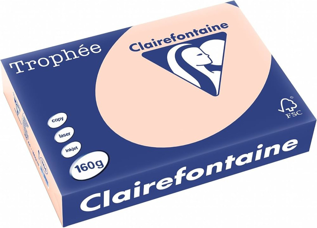 Krāsains papīrs A4 160 g/m² 10 loksnes lašu krāsa/Salmon Clairefontaine